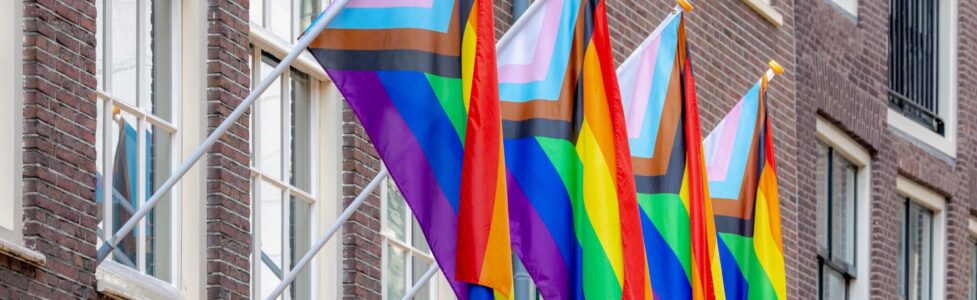 a picture of 4 inclusive pride flags hanging on a red brick building